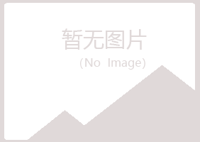 乐山夏岚能源有限公司